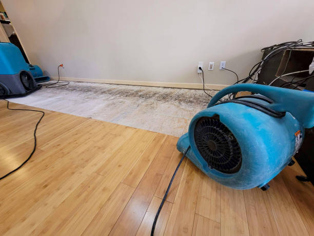 Professional Basement Flood Cleanup technician working in Bar Harbor, ME